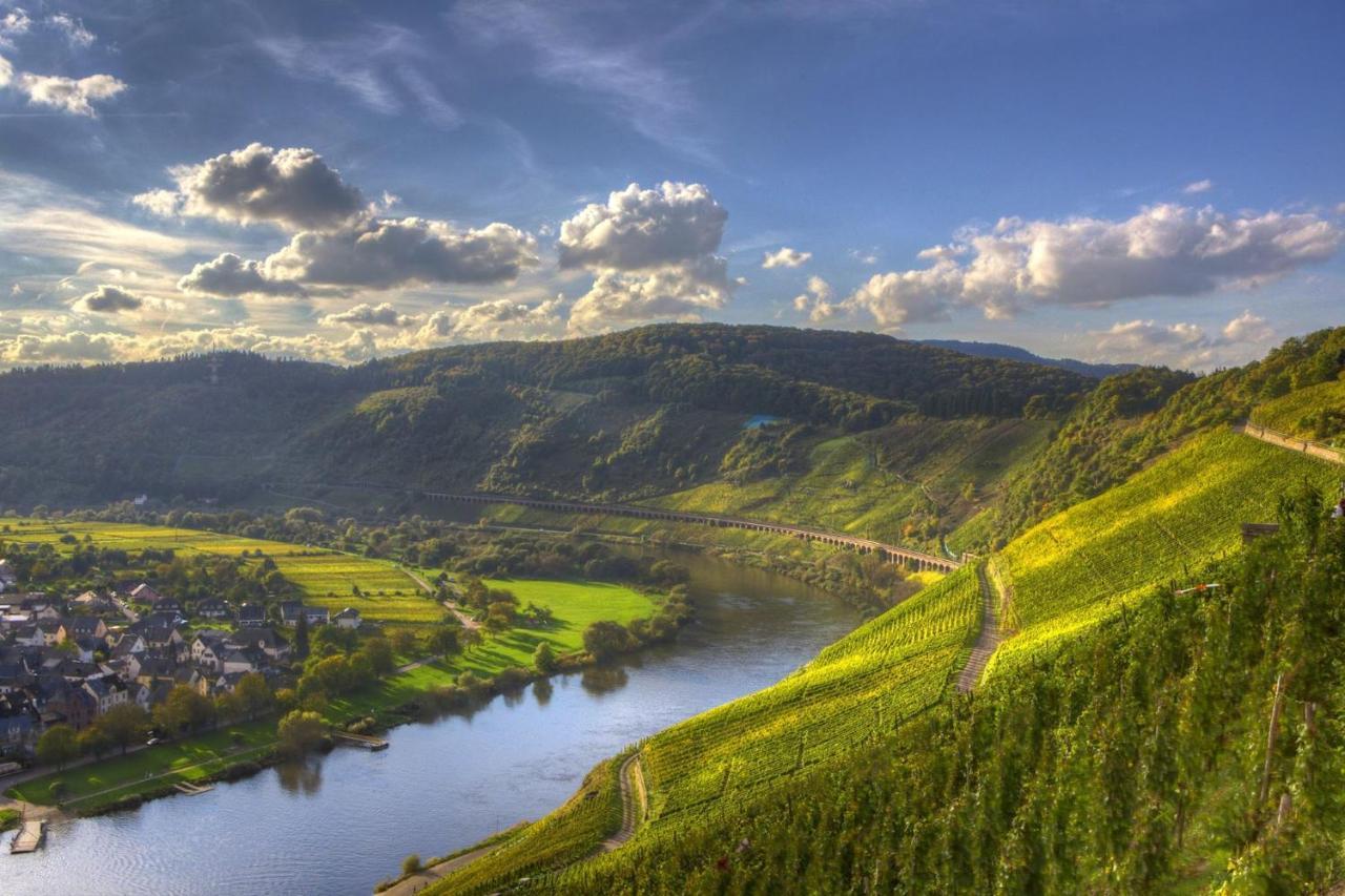 شقة Casa Schneider - Urlaub An Der Mittelmosel إنكيرش المظهر الخارجي الصورة